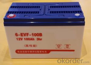 EVF SERIES VRLA GEL BATTERY FOR ELECTRIC VEHICLE System 1