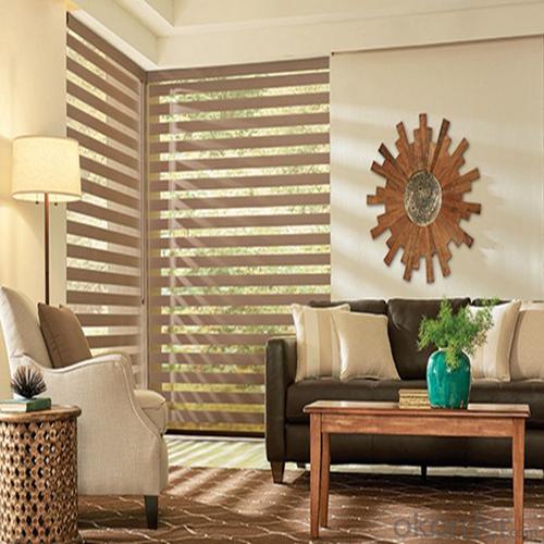 Wood Vertical Outdoor Clear Roller Blinds System 1