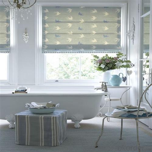 Transparent PVC Spring Vertical Roller Blinds System 1