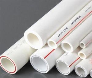 ppr pipe  plastic tube China supplier in 2019