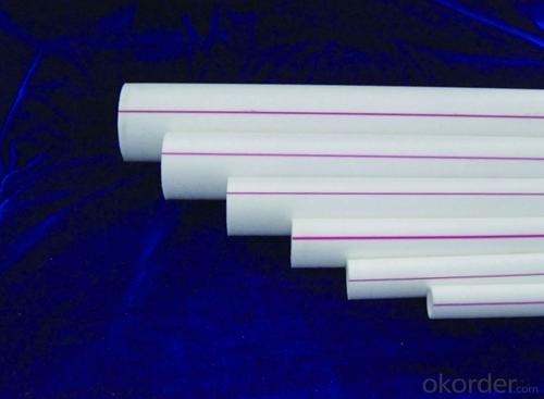 Plastic Tubes - 2024 Lasted PPR Pipe for Hot or Cold Water Conveyance System 1