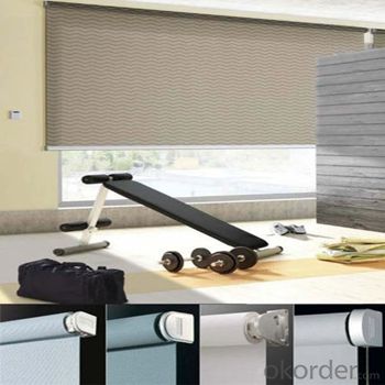 Somfy Roller Blinds Metal Chain From The Bottom Up Roller Blinds System 1