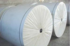 Reinforced Spunbond Polyester Mat for Bitumen Membrane Production