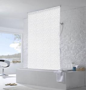 Outside One Way Vision Roller Shade Blinds