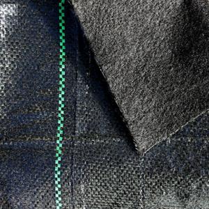 PP Woven Fabric/ Ground cover/ Weed Barrier