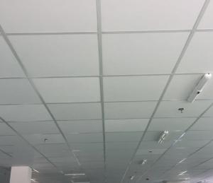 Gypsum Ceiling for Suspending-Metric and English Size