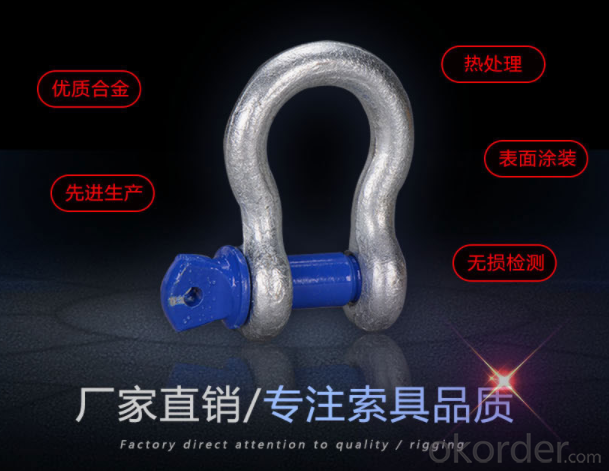 Grade S(6) Bow Shackle S6BW   S6BW S6BW System 1