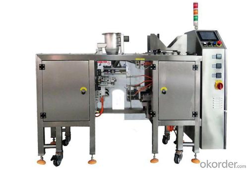 TP-MP Automatic Mini doy-pack machine packing System 1