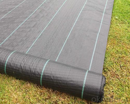 PP Woven Geotextile 20KN for Road Consturction Project System 1