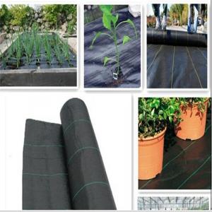Ground Cover or Polypropylene Woven Geotextile for Agriculture