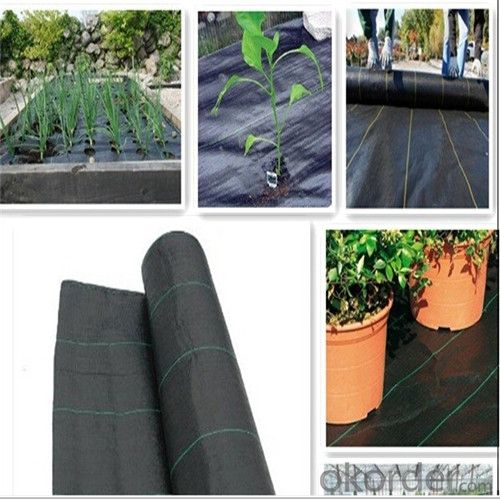 Ground Cover or Polypropylene Woven Geotextile for Agriculture