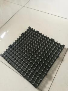 Plastic Drain Cell Drainage Board for Roof Garden