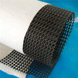 Three-Dimensional Composite Drainage by Geonet and Geotextile System 1