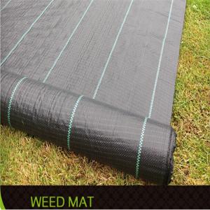 Ground Cover or Polypropylene Woven Geotextile for Agriculture