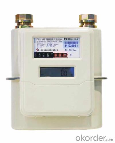 CG-L series IC card residential gas meter System 1