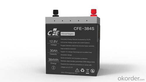 Residential ESS CFE-384S 12.8V 30Ah 384Wh System 1