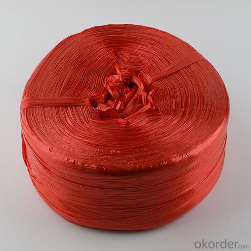 Large plastic rope (red) 2.5kg System 1