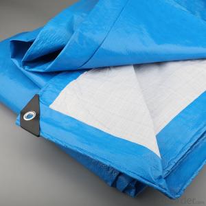 Hand Tools, Blue and white rain cloth 3*4M