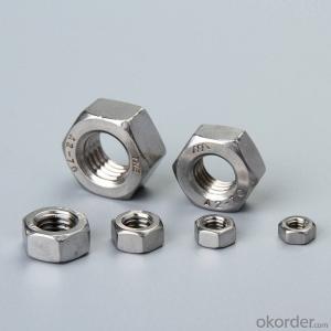 Stainless Steel Nuts 316/304 Hexagon Nut