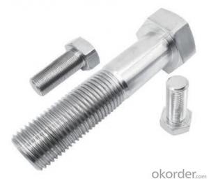 Stainless steel Hexagon Head type Bolt OEM Carbon Steel bolt/ High Precision Hex Head Bolt
