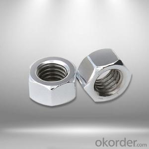Stainless Steel Nuts 316/304 Hexagon Nut