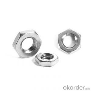 304 316 Stainless Steel Hex Thin Nut DIN439