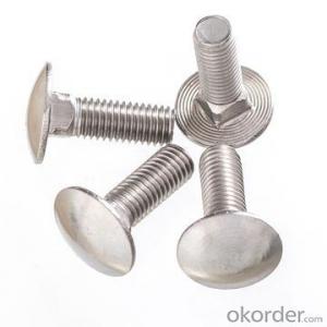 304 Stainless Steel Mushroom Round Head Carriage Bolt DIN603