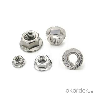 Bolt and Nut 304 316 DIN6923 Stainless Steel Hex Flange Nut M3 M4 M5 M6 - M20