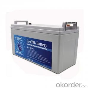Deep Cycle Rechargeable Lithium ion Lifepo4 12V 50Ah Lithium Battery