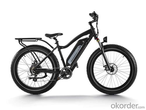 Professional Electric Mountain Bike- MERMAID X2 System 1