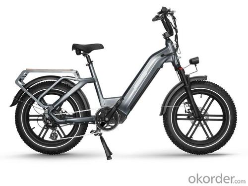 E-BIKE MERAN G2 SUITABLE FOR DAILY COMMUTING System 1