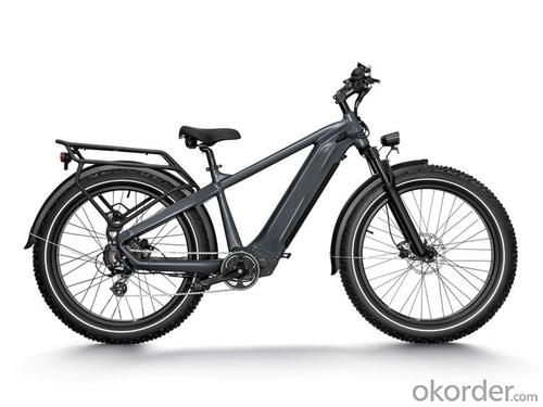 E-BIKE   LEOPARD Z3 With removable 499W battery capacity System 1