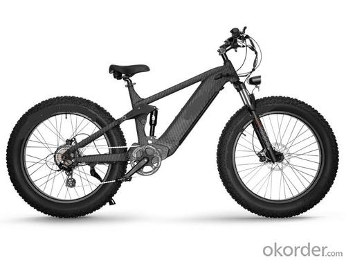 E- BIKE MERMAID X1 MADE OF SOLID 6061 ALUMINUM FRAME System 1