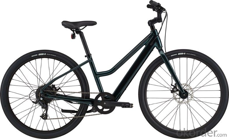 E-BIKE MERAN WITH LONGER RANG AND BETTER DESIGN System 1