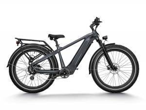 E BIKE LEOPARD ZC--A BEAUTY TO RIDE WITH VIP TREATMENT System 1