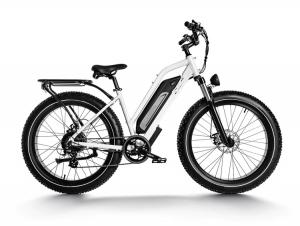 E-BIKE ENCKE 3 US--Long Range Electric Bike