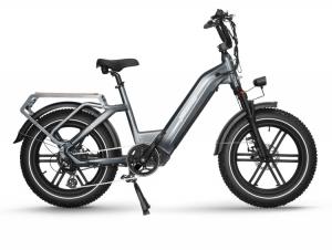 E-BIKE FAERIE 1 STYLISH SILENTLY WITH BOTH LEVELS OF ENDURANCE AND A RIDE-ABILITY System 1