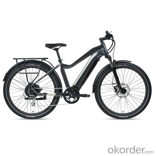 E- BIKE LEOPARD ZS DELIVERING A COMFORTABLE RIDE System 1