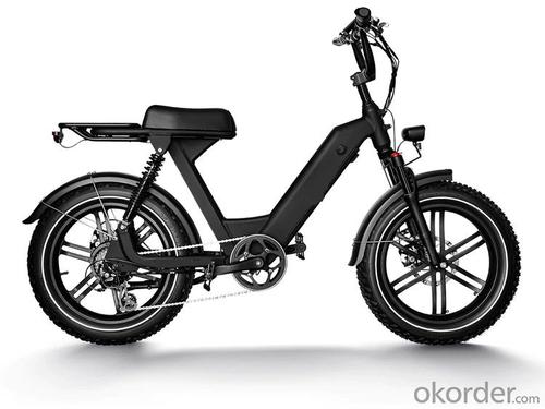 Electric Bike PANTHER 1 Equipping fat tires and 500W motor System 1