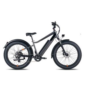E BIKE MERMAID X ROAD WITH FREEDOM, COURAGE, PASSION AND THE JOY OF DISCOVERY System 1