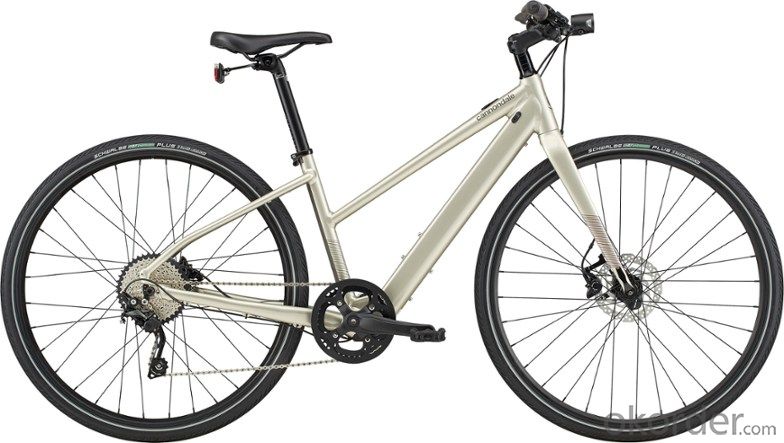 E-BIKE LEOPARD XC A COMFORTABLE RIDE WITH FAST TIRES AND CONFIDENT HANDLING System 1