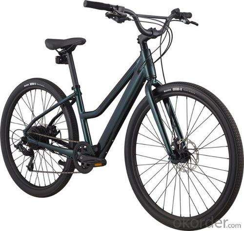 E-BIKE CLAIRE FRIENDLY TO CYCLING BEGINNERS IN HIGH QUALITY System 1