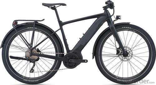 E-BIKE TERRELL A STRONG HIGH-END MOUNTAIN BIKE IN HIGH QUALITY System 1