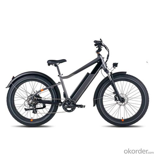 E-BIKE COMO3 LONG RANGE ELECTRIC BIKE WITH EXCELLENT PERFORMANCE System 1