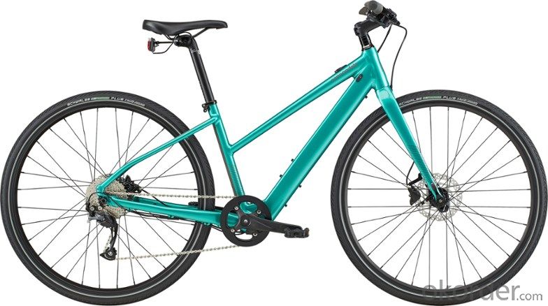 E-BIKE CARRIE ADAPTABILITY TO COMPLEX CYCLING CONDITIONS