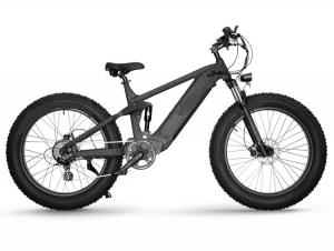 E-BIKE TERRELL 2 MIDDLE MOTOR TO CHALLENGE EVERYDAY