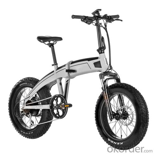 E-BIKE FANNI PROFESSIONAL ELECTRIC MOUNTAIN BIKE System 1