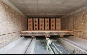 Dry Roasting Equipment---Tunnel Roasting Kiln---Straight Tunnel Kiln---Masonry Tunnel Kiln