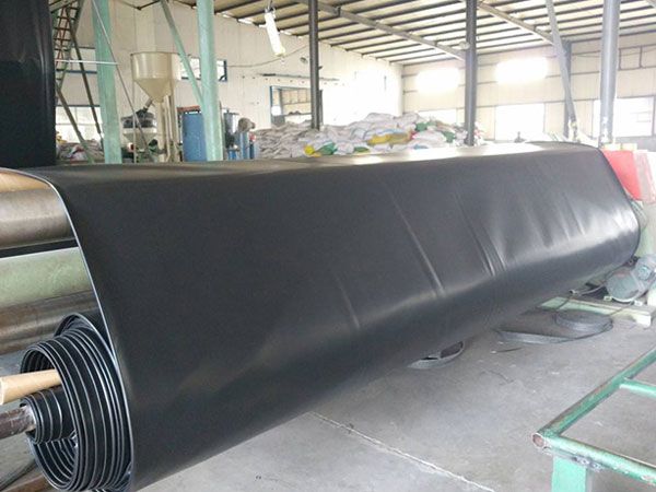HDPE / LDPE / LLDPE Geomembrane from Supplier