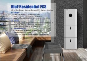 All In One Energy Storage System BluE Residential ESS
